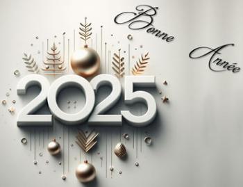 Bonne année 2025 à nos chers clients et partenaires professionnels! 